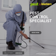 Pest Control Belgrave South | pest blockers